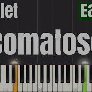 Comatose Skillet Piano