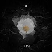 Without You Avicii Sandro Cavazza