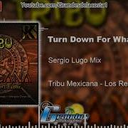 Dj Snake Feat Lil Jon Turn Down For What Sergio Lugo Remix Tribu Mexicana