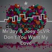 Mr Jay Joey Slvr Don T You Want My Love