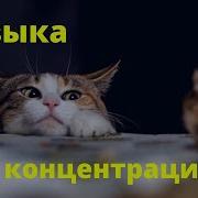 Фоновая Лаунж Музыка Прекрасно Подходит Для Монотонной Работы
