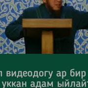 Ото Таасирдуу Масала