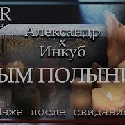 Asmr Chic Библиотекарь