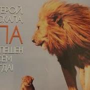 Пропитка Христианская Музыка Гусаревич