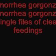 System Of A Down This Cocaine Makes Me Feel 06