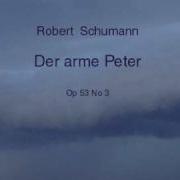 Der Arme Peter Iii