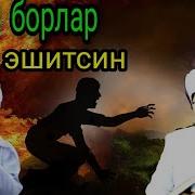 Кизи Борлар Учун