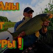 Песня Была Не Была