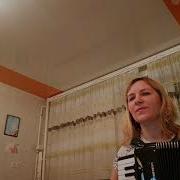 Герани Герани Моей Мамы Цветы