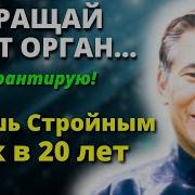 Вон Кью Кит Энциклопедия Дзэн