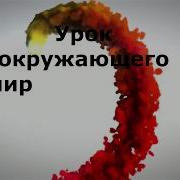 Когда Мы Станем Взрослыми