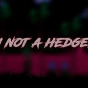 Fnf I Am Not A Hedgehog