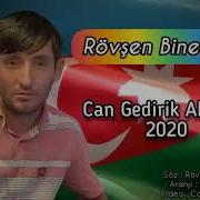 Rovsen Bineqedili