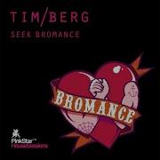 Seek Bromance Avicii Vocal Extended