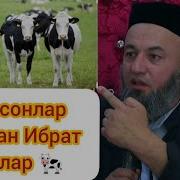 Солих Хужа Домла Чидаб Туролмади Эй Инсонлар Молдан Ибрат Олинглар