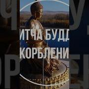 Притча Про Будду И Оскорбления