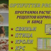 Программа Для Расчета Рецептов Кормов И Бвмд Для Птицы Свиней Крс И Кроликов Optifutter Pro 4 0
