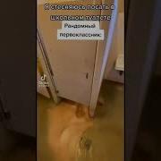 Звук Поноса Из Тик Тока