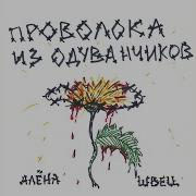 Одуванчики Алёна Швец