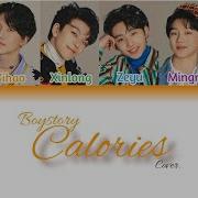 Boystory Calories