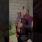Алпият Шапиева Мп3