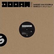 Sander Van Doorn What Say