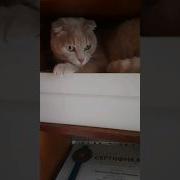 Удобно Лежать
