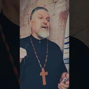 В Сердце Не Угаснет Минус