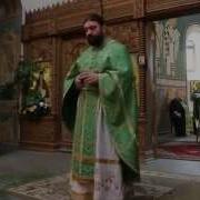 Проповедь На Троицу О Андрей Ткачёв
