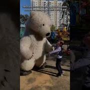 Выход Мишки На Празднике