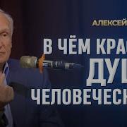 А И Осипов В Чём Красота Души Человеческой 10 03 2025