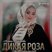 Алина Евкурова Новинка Очень Красивая Песня Иса 2019