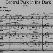 Central Park In The Dark