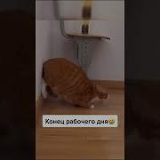 Конец Рабочего Дня Прикол