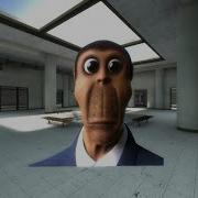 Obunga Goes Shopping