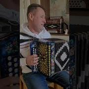 Паша Гармонист Душа Болит