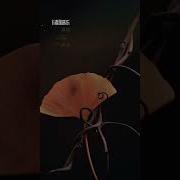 爱情啊 张玮 高音质 无杂音 电视剧 夜空中最闪亮的星 插曲 主演 黄子韬 吴倩 牛骏峰 曹曦月 相爱的人结局那么遗憾 动态歌词Lyrics