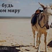 Не Будь Другом Миру А И Бублик Мсц Ехб