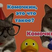 Если Бы Котики Ходили В Школу Котики Деды Морозы