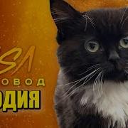 Песня Клип Про Чмоню
