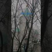Ты В Жизнь Мою Вошла И В Сердце Поселилась