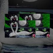 Минус Салеева Лебединая
