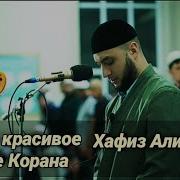 Кори Алишер Красивое Чтение