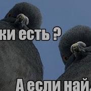 Слышь Семки Есть А Если Найду