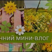 Куклы Скучные Такие