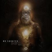 The Squatch Expands Life Squatchs Deep Space Mix