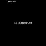 Birodarlar