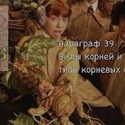 Биология 6 Класс Пасечник Параграф39