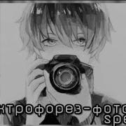 Фотограф Электрофорез Speed Up
