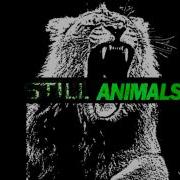 Hedegaard Still Animals Mashup Remix